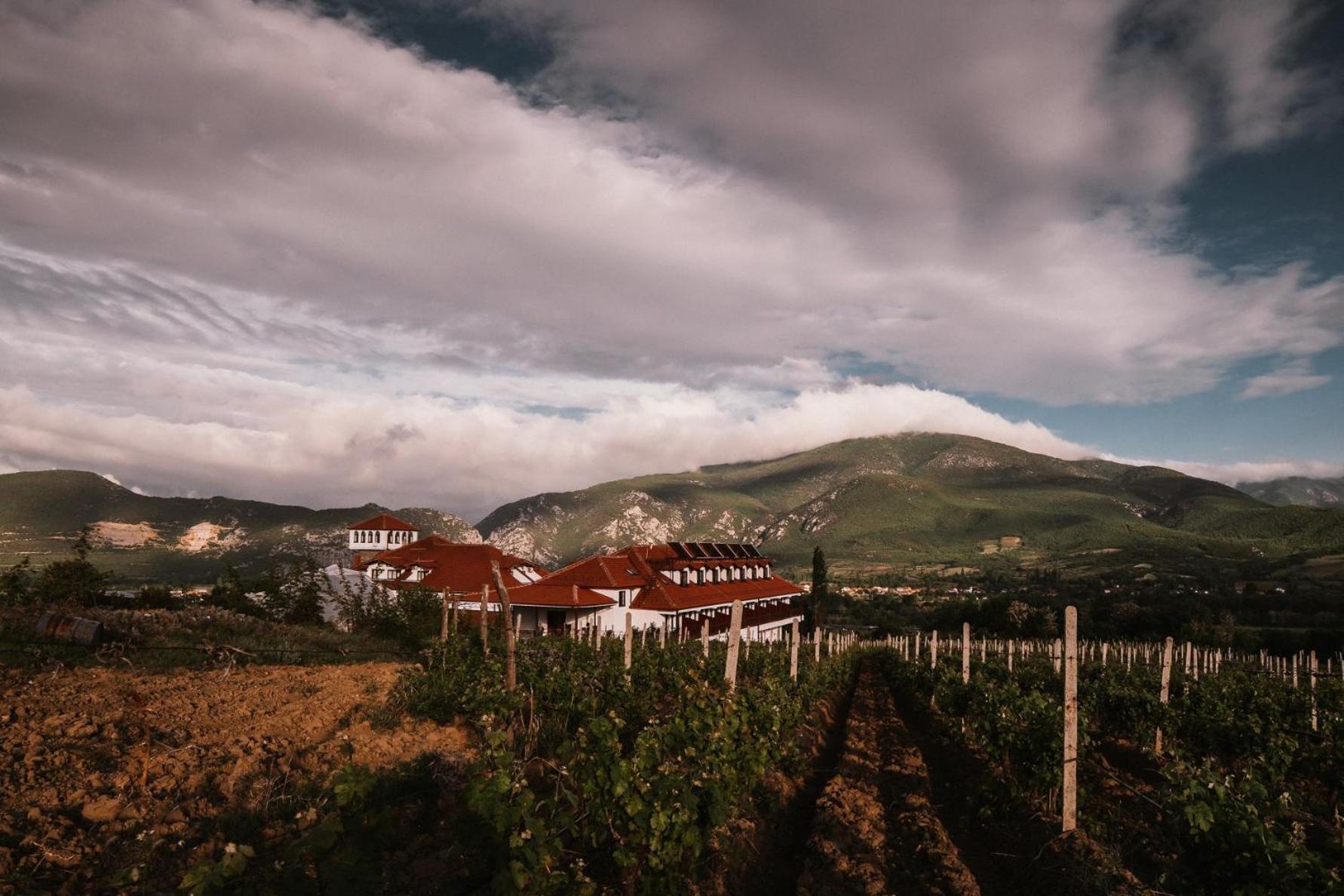 Popova Kula Hotel & Winery เดมีร์ คาเปีย ภายนอก รูปภาพ